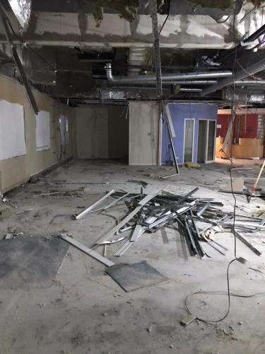 b5d55125-ce24-4660-bfe8-3ec75243089d